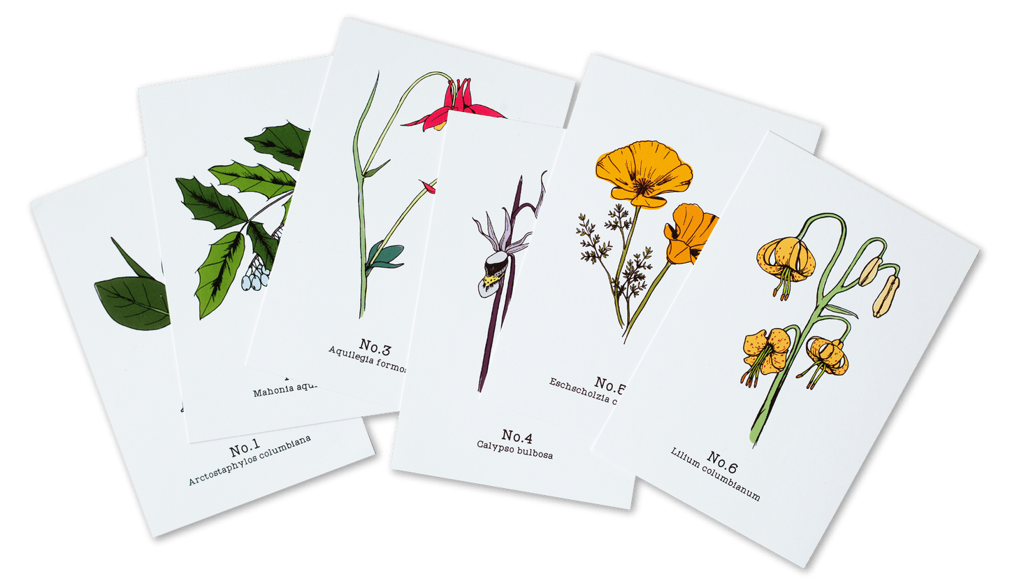 Oregon Native Plants (1-6) - 2020 Postcard Set of 6