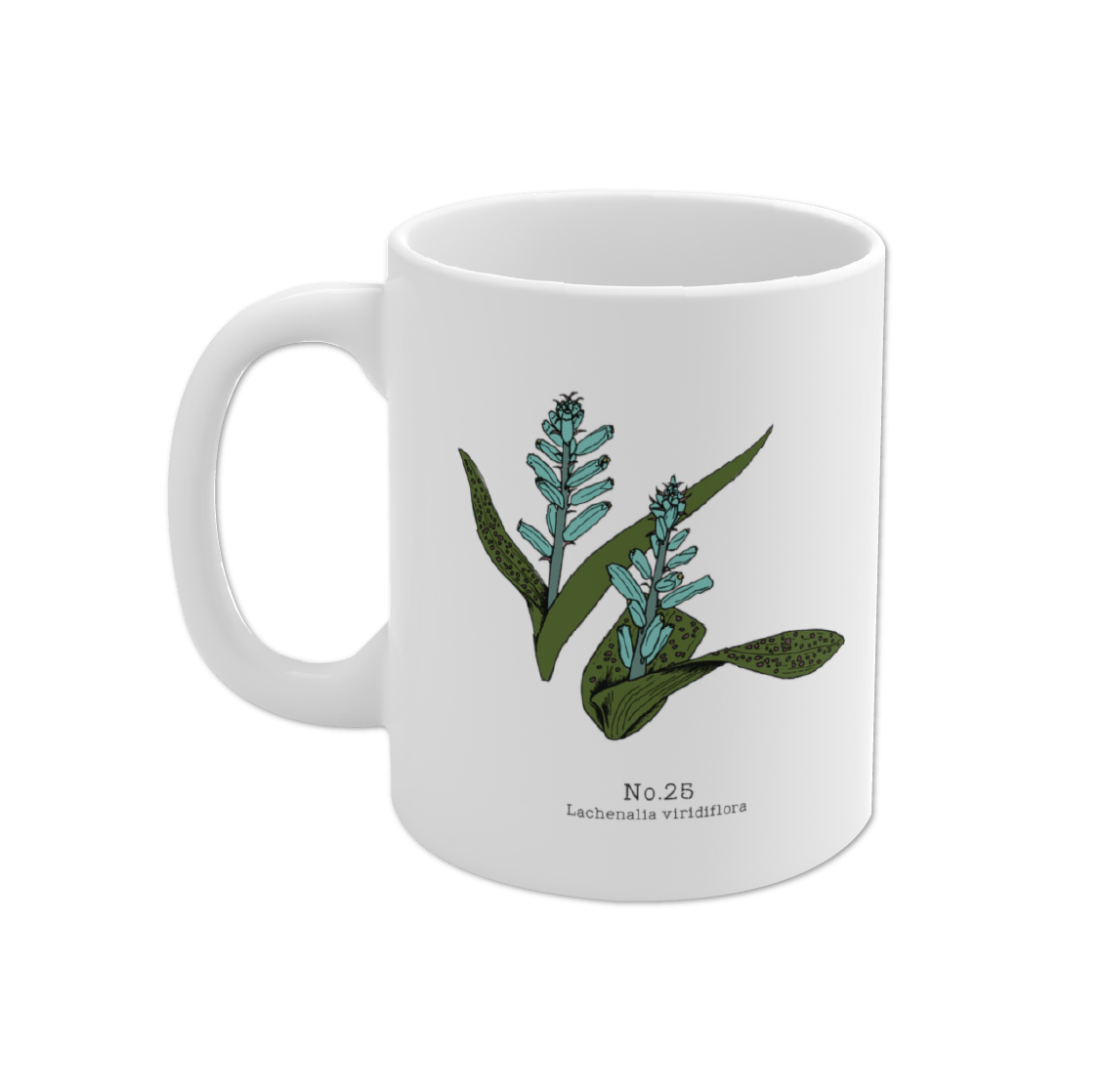 Flora of the Western Cape - Month Mug