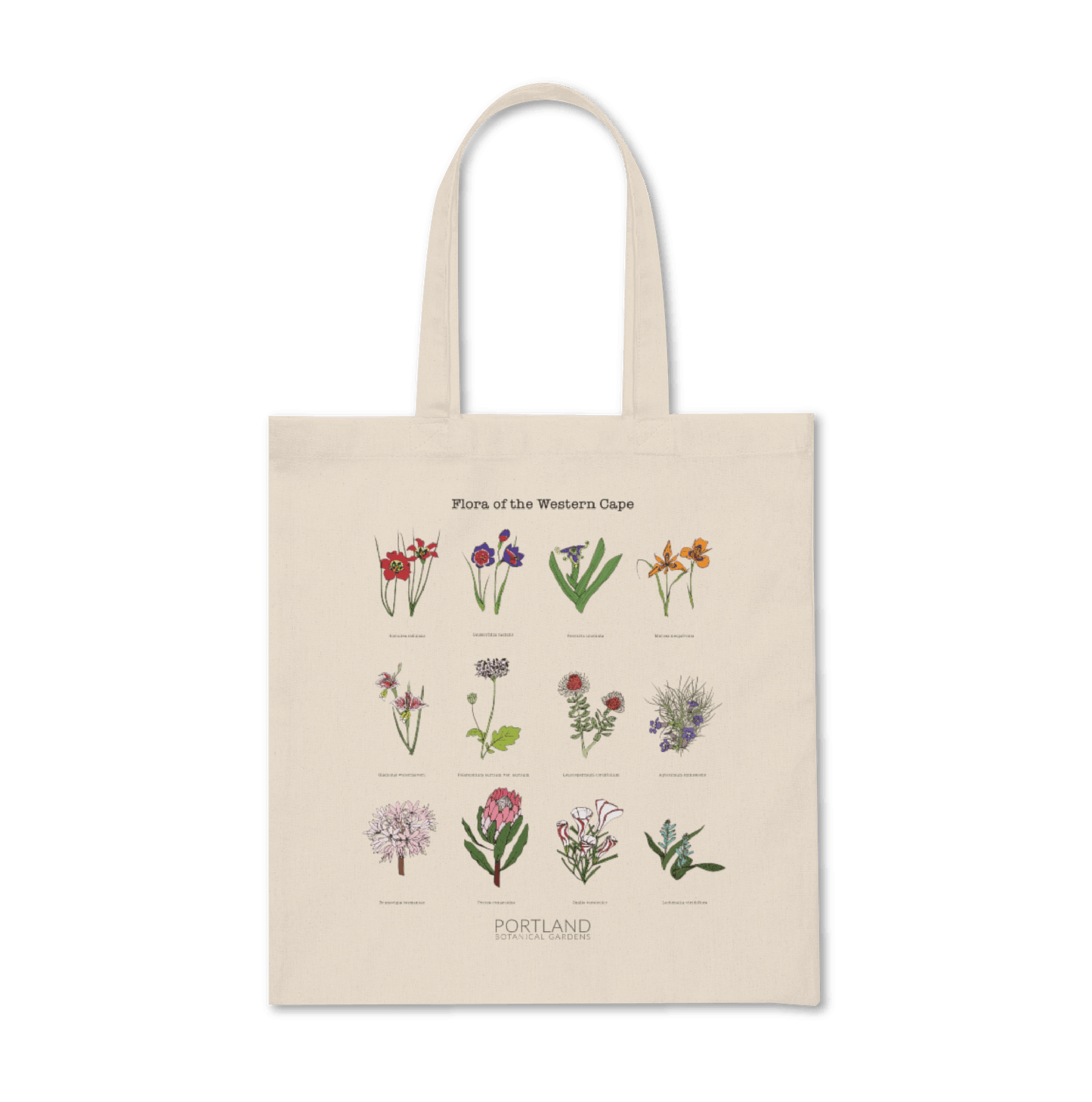 Flora of the Western Cape Reusable Bag