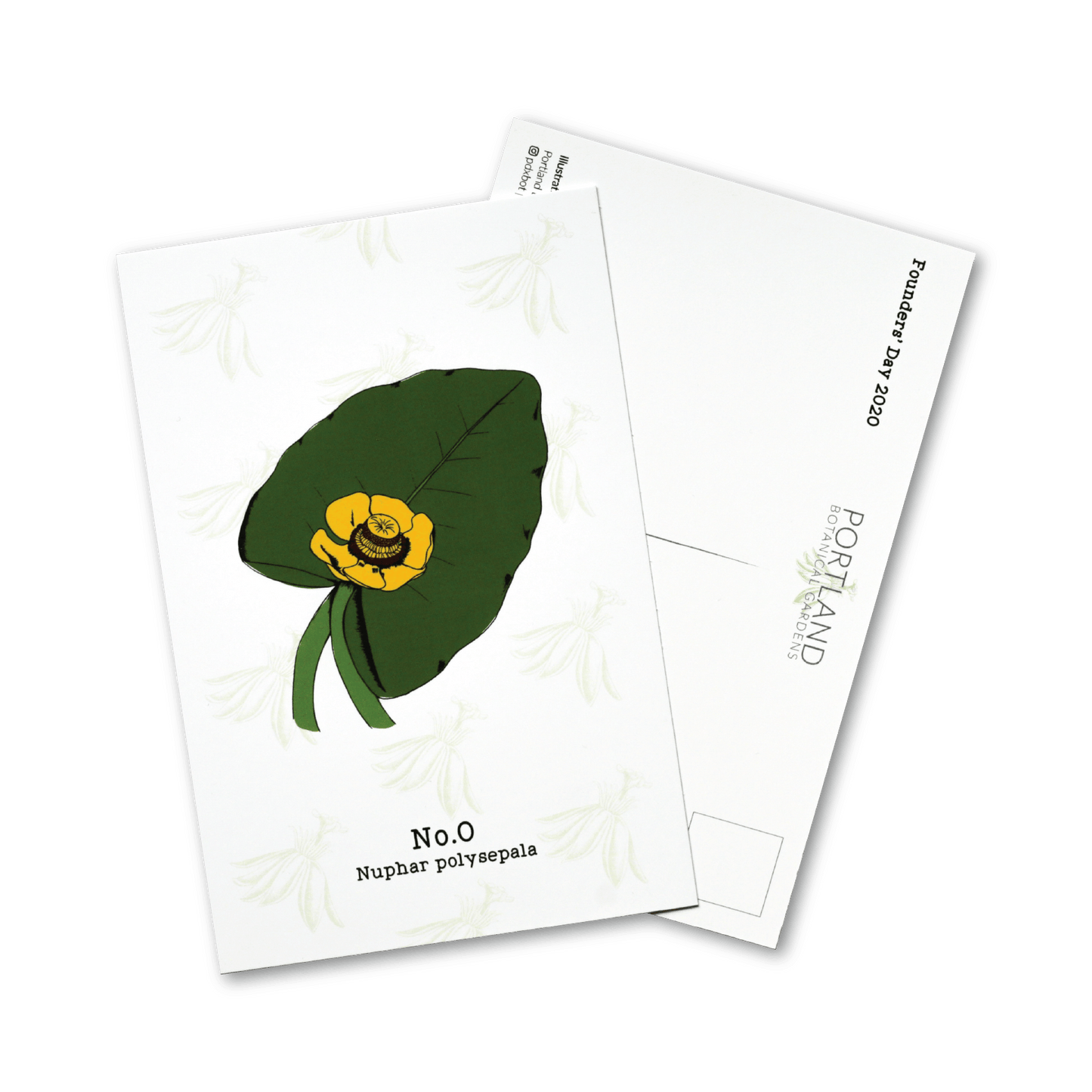 No. 0 - Nuphar polysepala - Postcard Set of 10