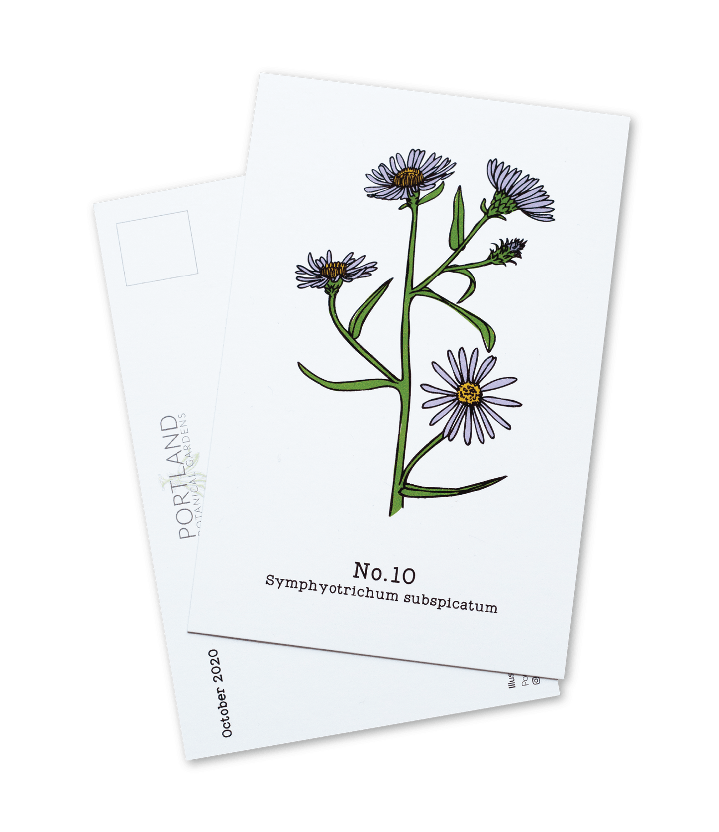 Oregon Native Plants (7-12) - 2020 Postcard Set of 6