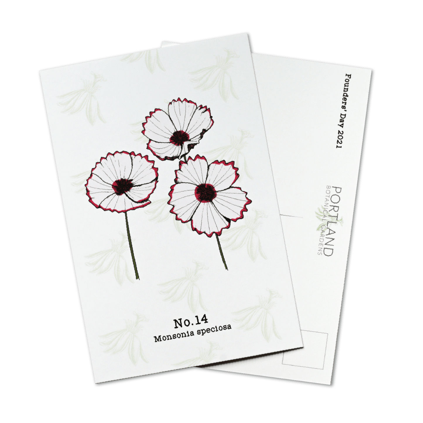 No. 14 - Monsonia speciosa - Postcard Set of 10
