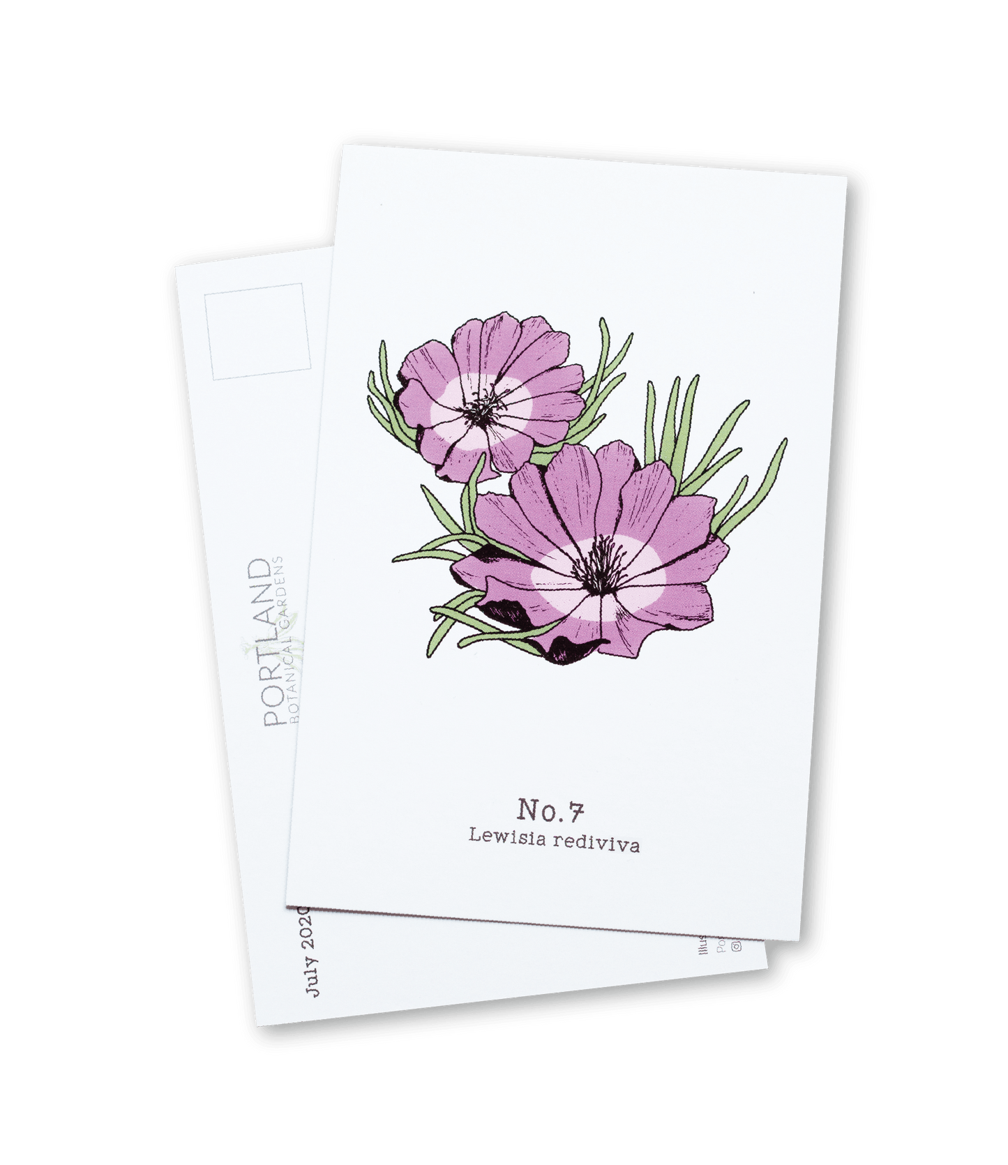 Oregon Native Plants (7-12) - 2020 Postcard Set of 6