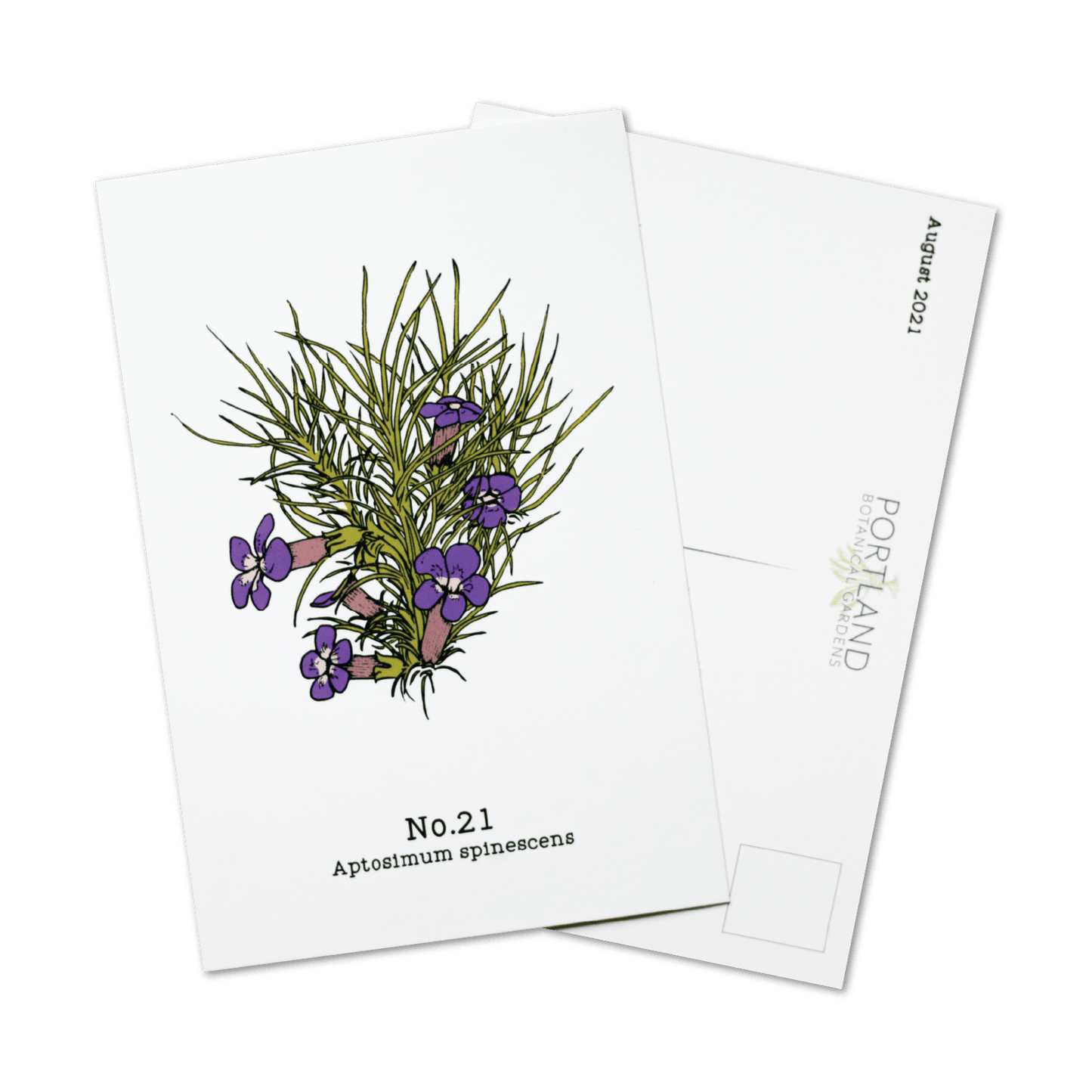 Flora of the Western Cape (20-25) - 2021 Postcard Set of 6