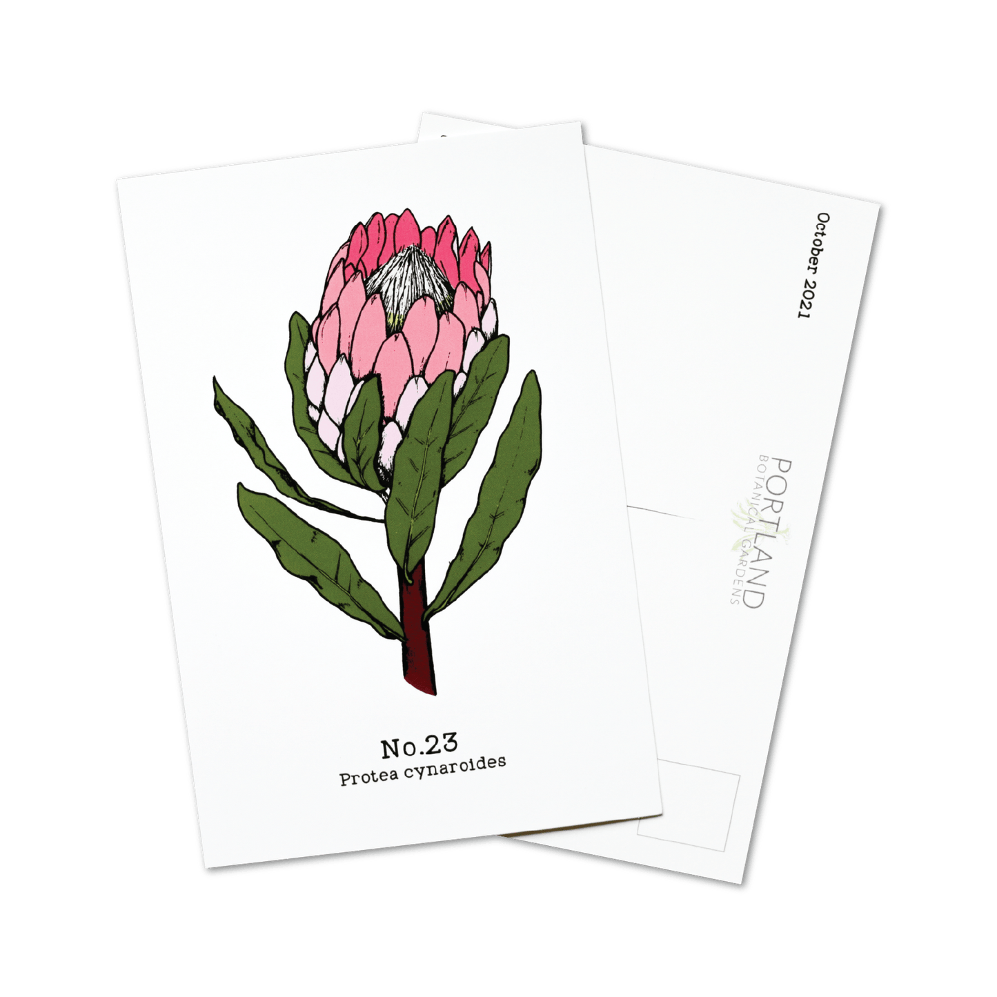 Flora of the Western Cape (20-25) - 2021 Postcard Set of 6