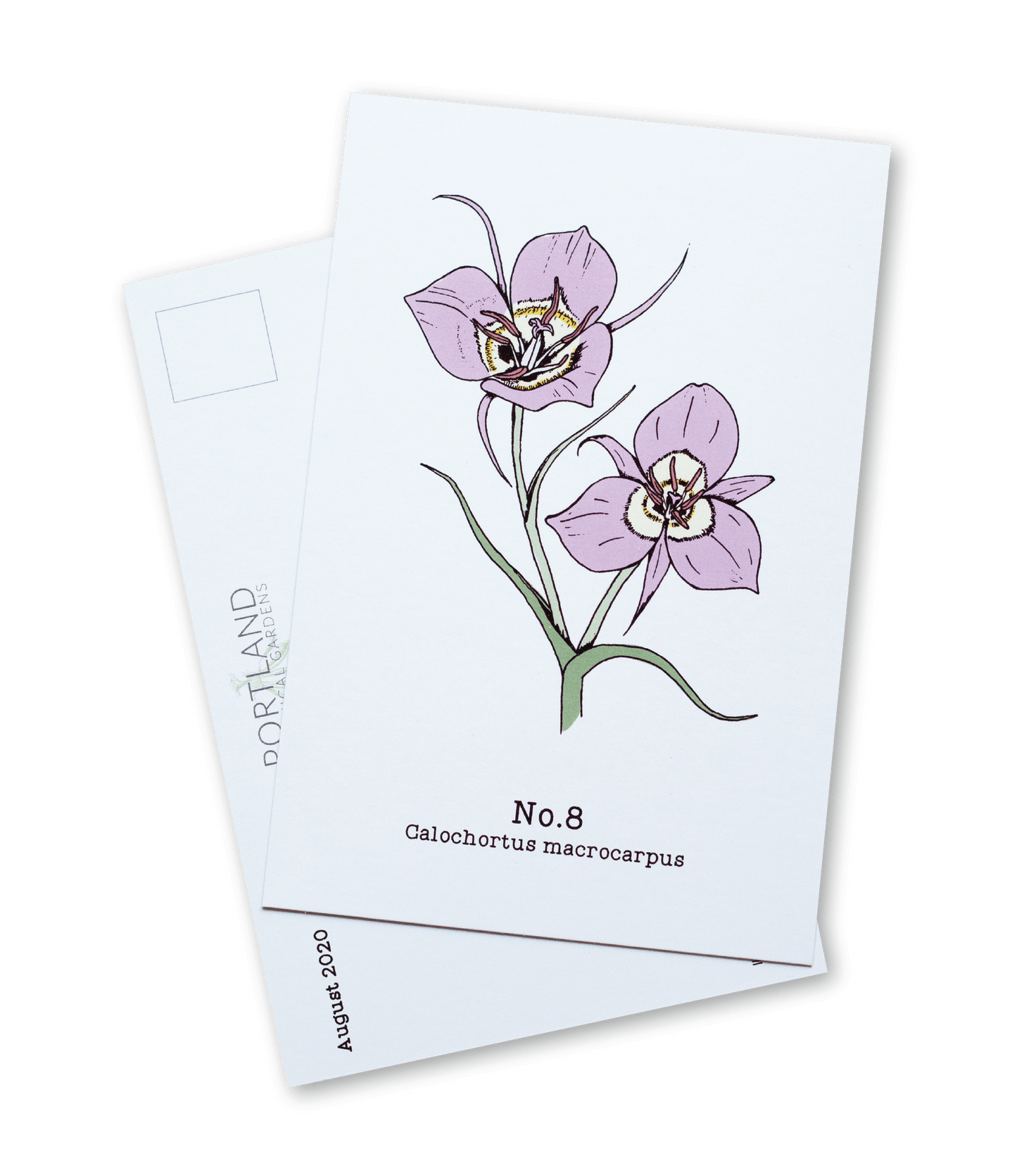 Oregon Native Plants (7-12) - 2020 Postcard Set of 6