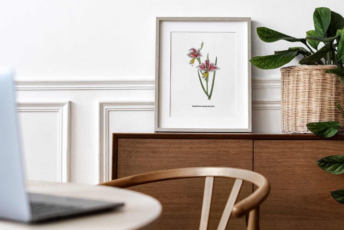 Flora of the Western Cape - Decorative Art Print