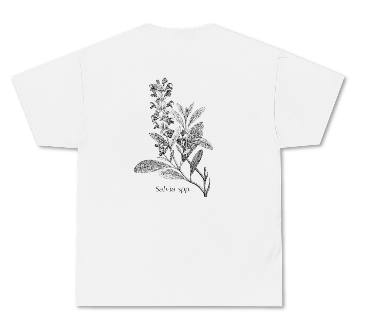 I'm Into Salvia - Organic Cotton T-Shirt