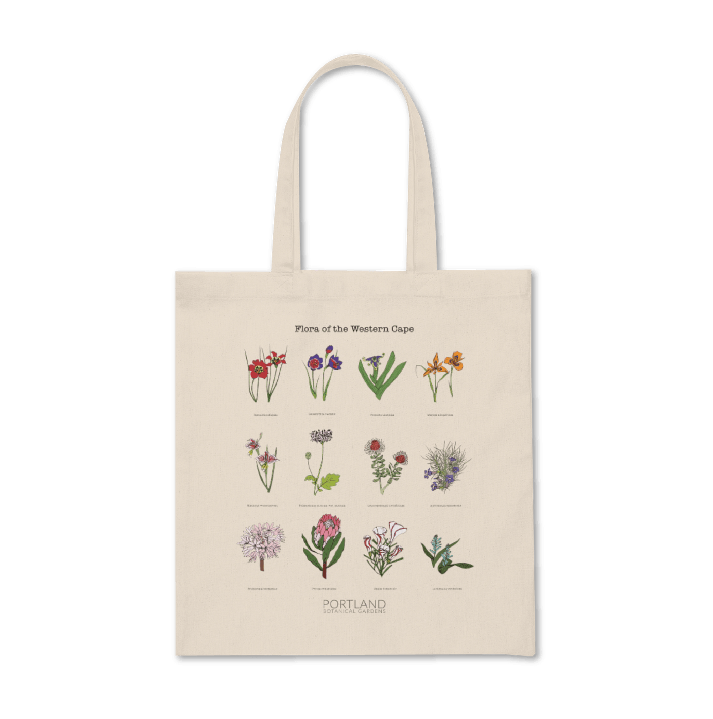 Flora of the Western Cape Reusable Bag
