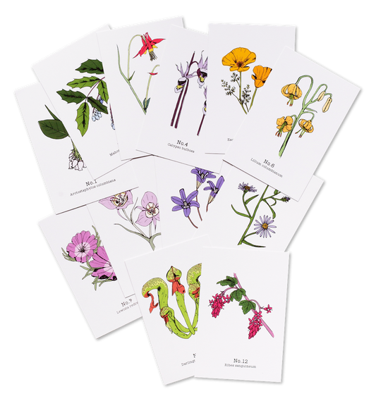 Oregon Native Plants - 2020 Complete Postcard Set