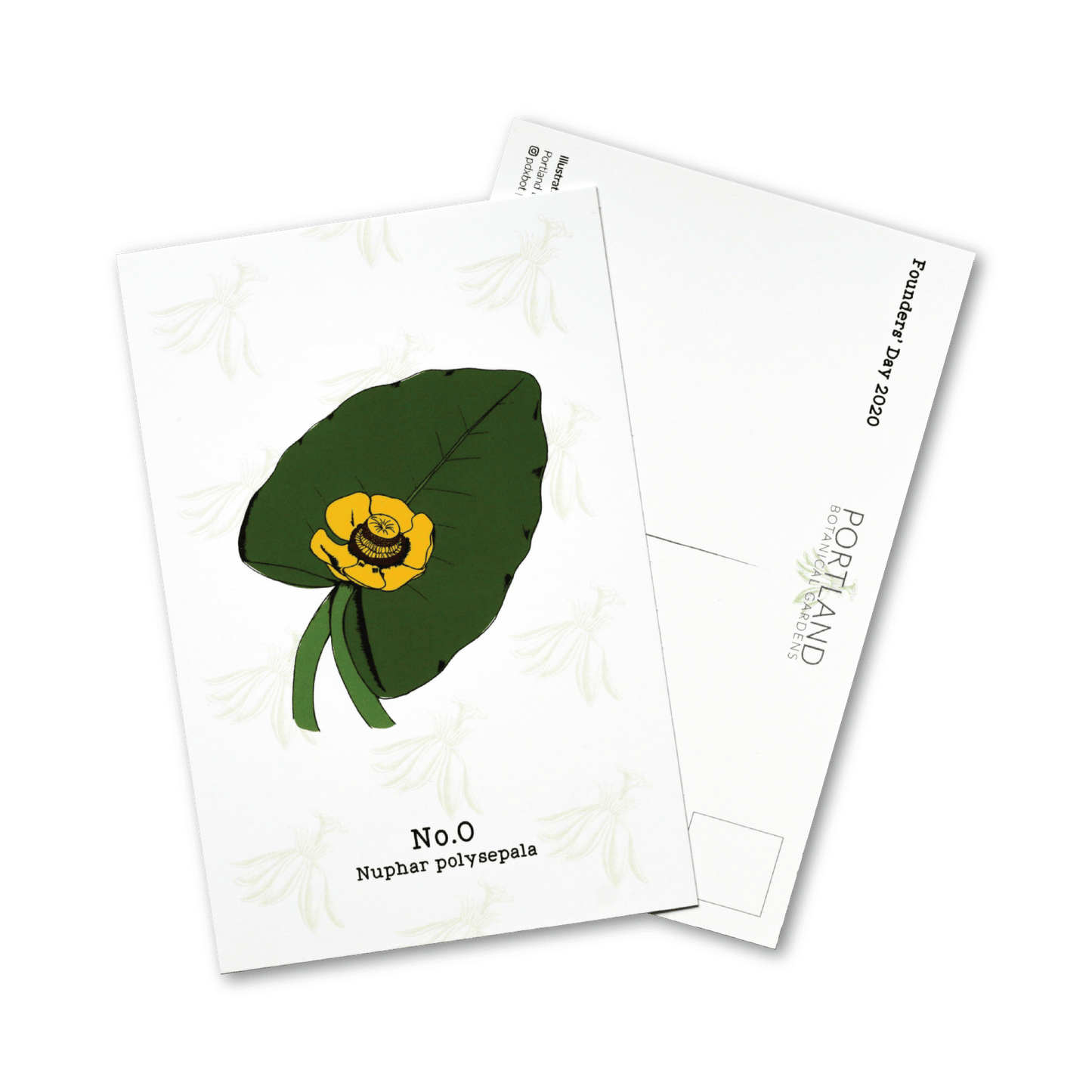 Oregon Native Plants - 2020 Complete Postcard Set