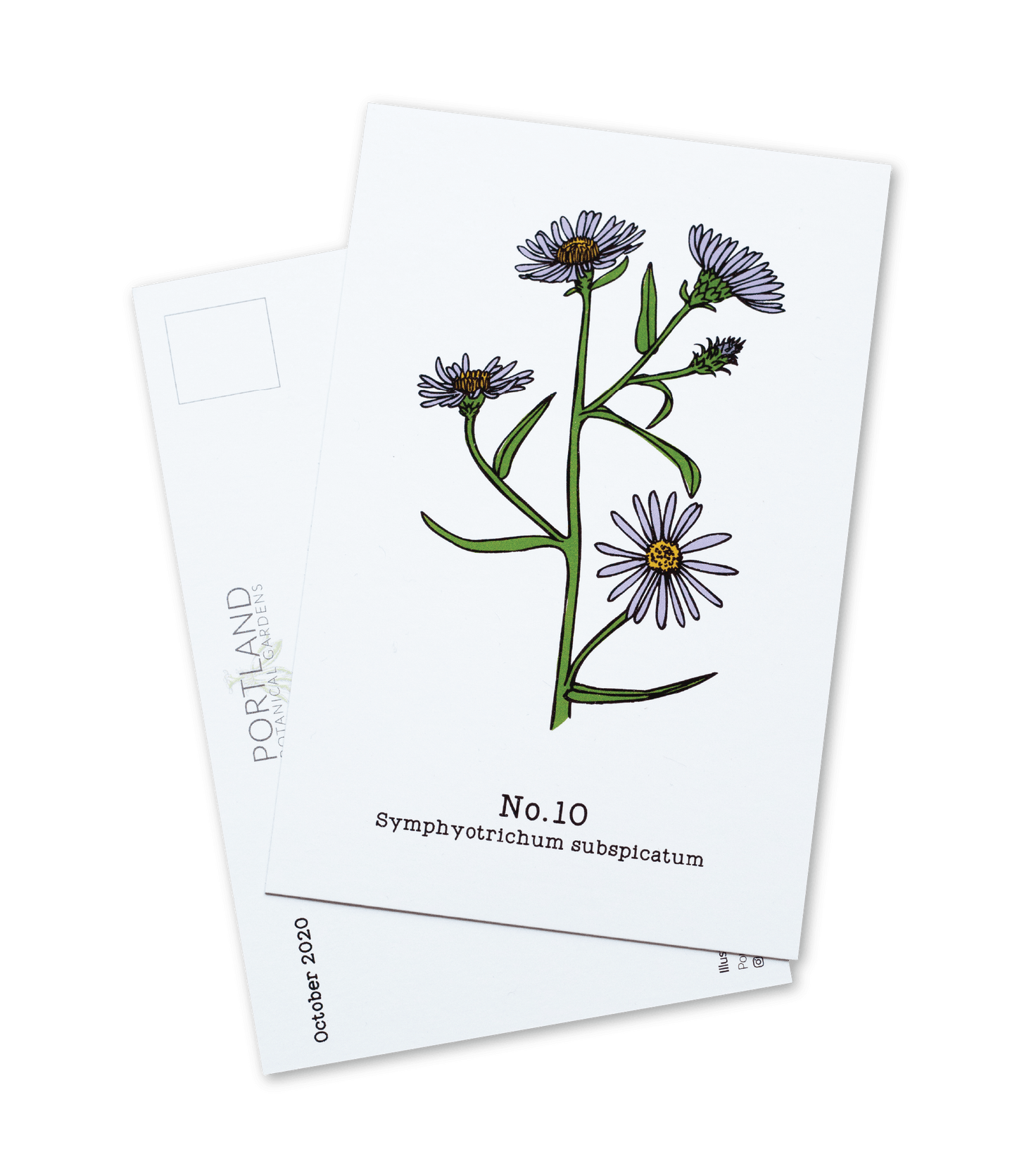 Oregon Native Plants - 2020 Complete Postcard Set