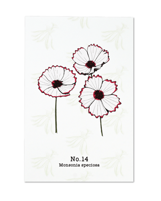 No. 14 - Monsonia speciosa - Postcard Set of 10