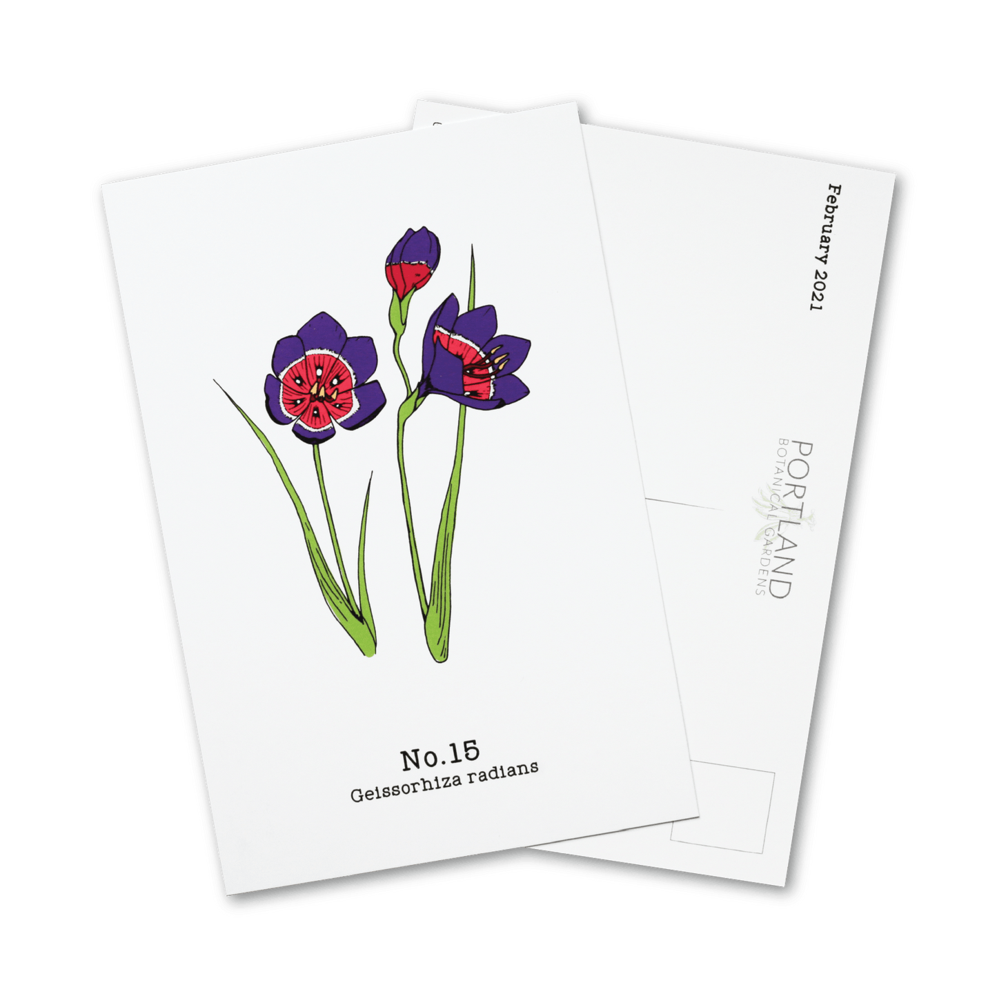 Flora of the Western Cape - 2021 Complete Postcard Set