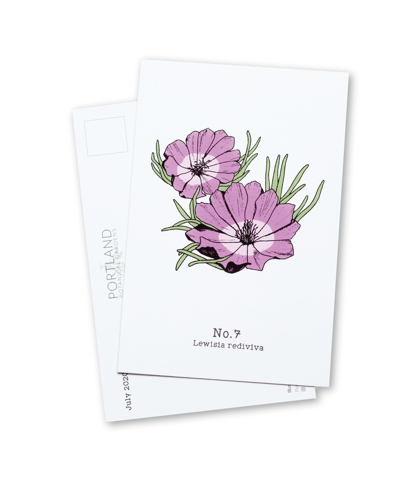 Oregon Native Plants - 2020 Complete Postcard Set