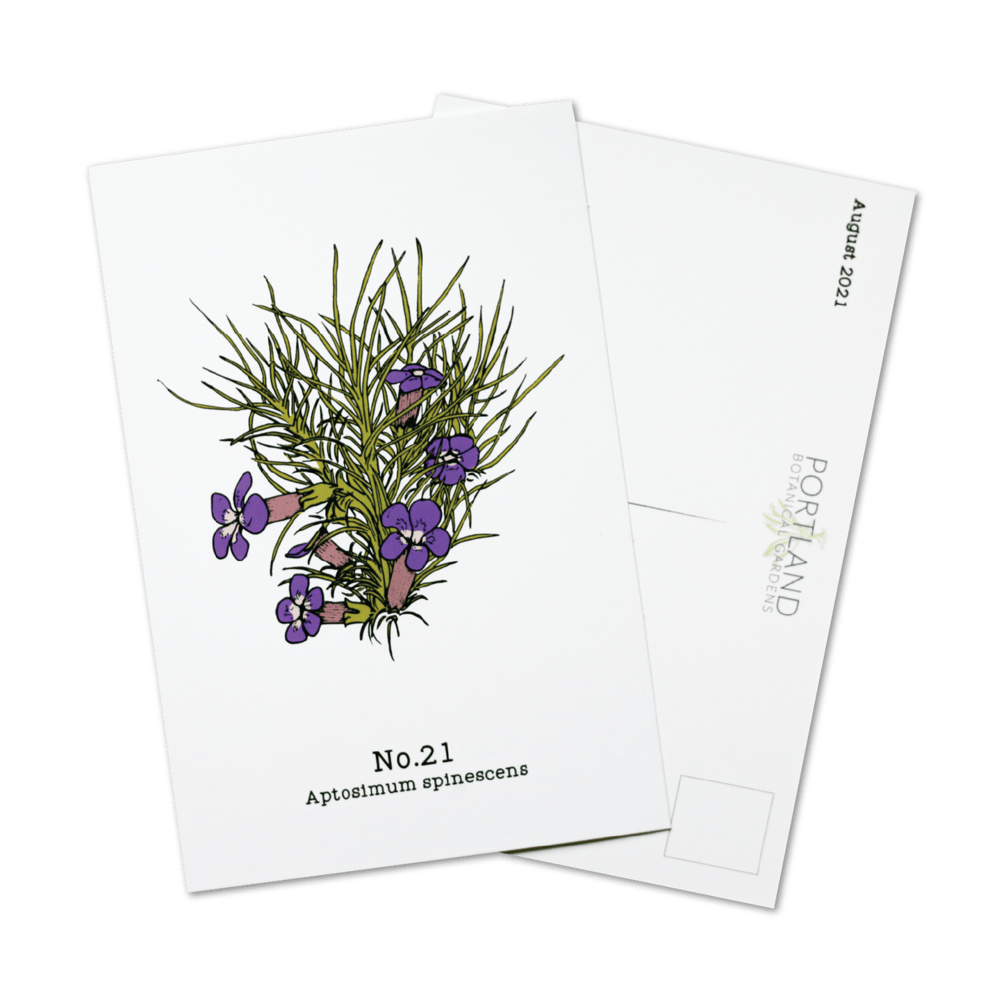 Flora of the Western Cape - 2021 Complete Postcard Set