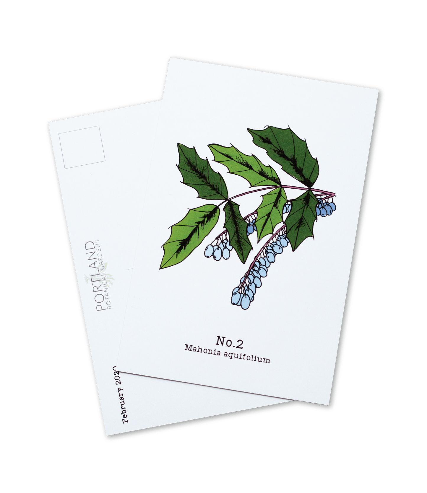 Oregon Native Plants (1-6) - 2020 Postcard Set of 6