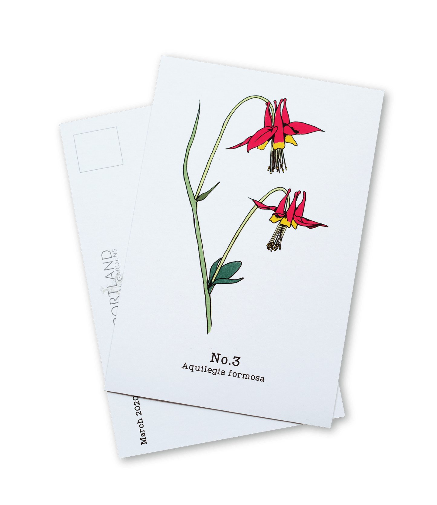 No. 3 - Aquilegia formosa - Postcard Set of 10