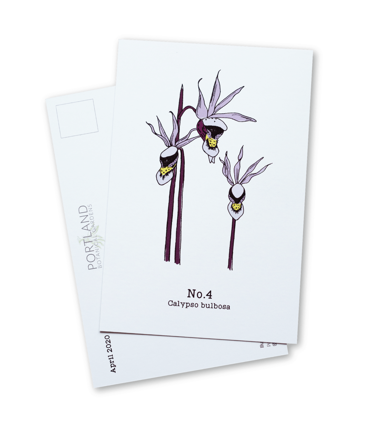 Oregon Native Plants - 2020 Complete Postcard Set