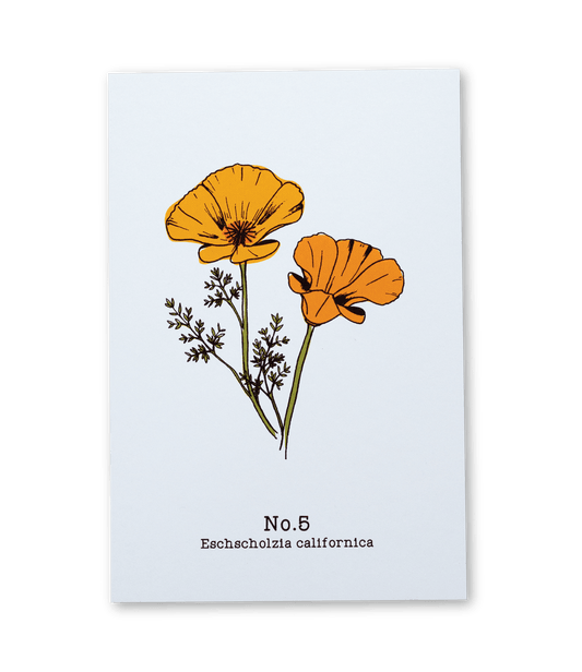 No. 5 - Eschscholzia californica - Postcard Set of 10