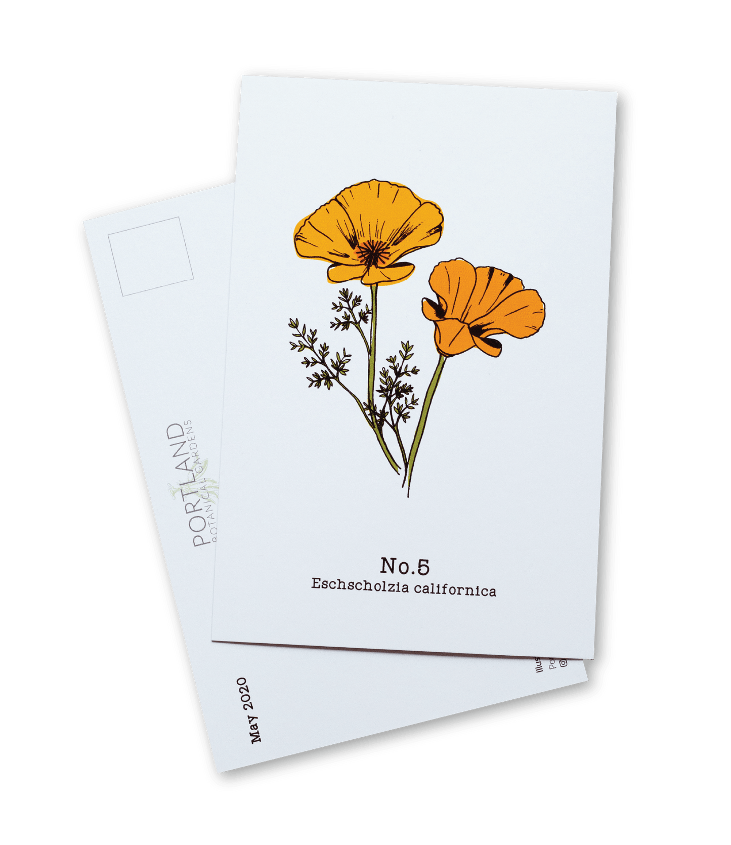 Oregon Native Plants (1-6) - 2020 Postcard Set of 6