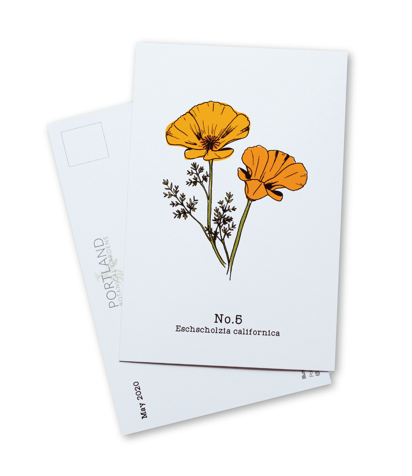 Oregon Native Plants - 2020 Complete Postcard Set