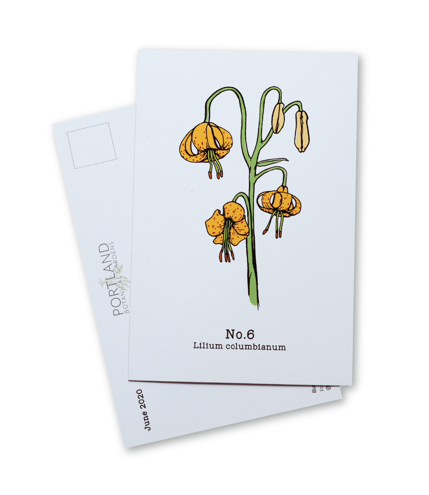 Oregon Native Plants - 2020 Complete Postcard Set