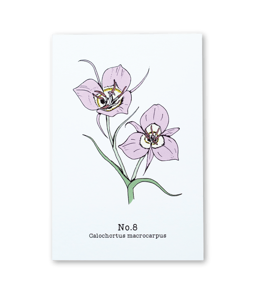 No. 8 - Calochortus macrocarpus - Postcard Set of 10