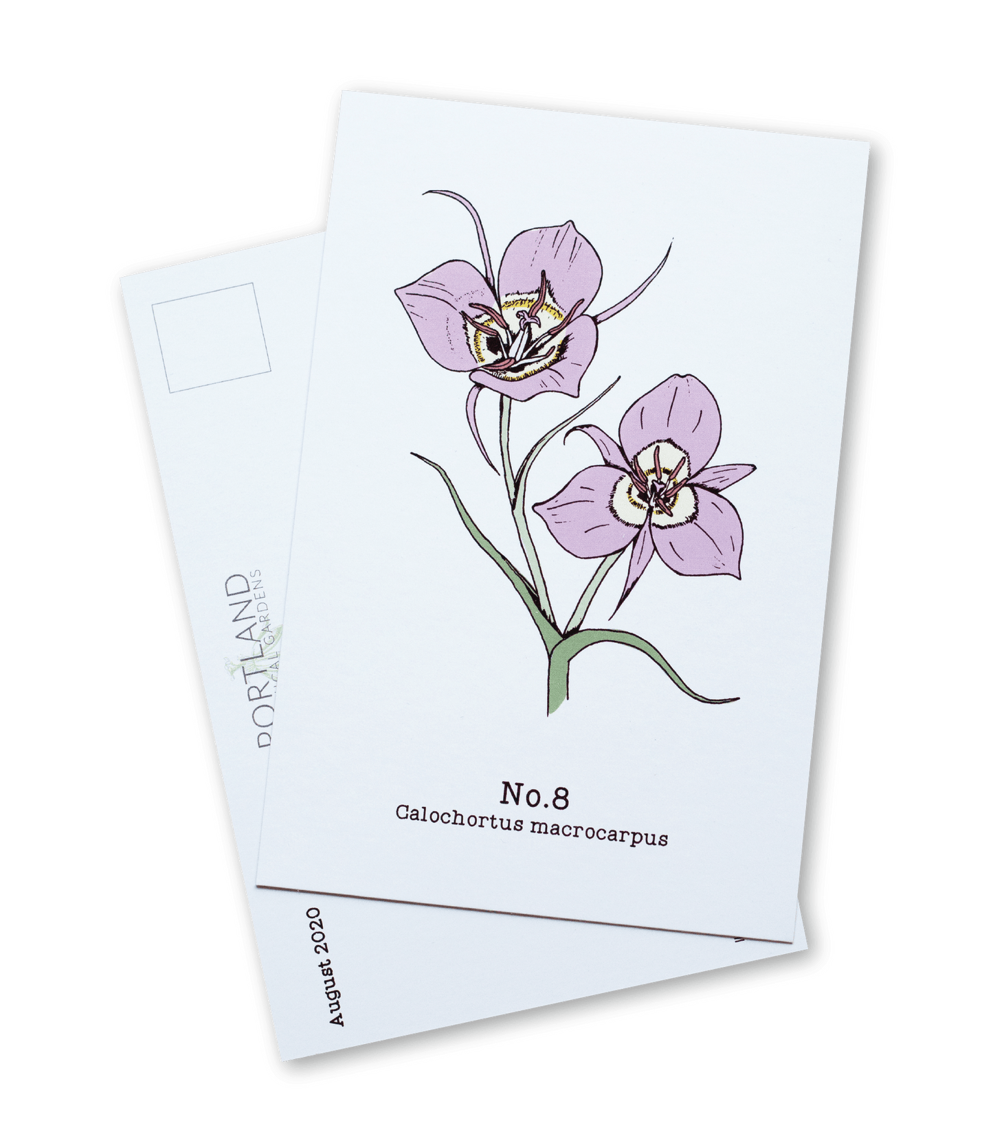 Oregon Native Plants - 2020 Complete Postcard Set