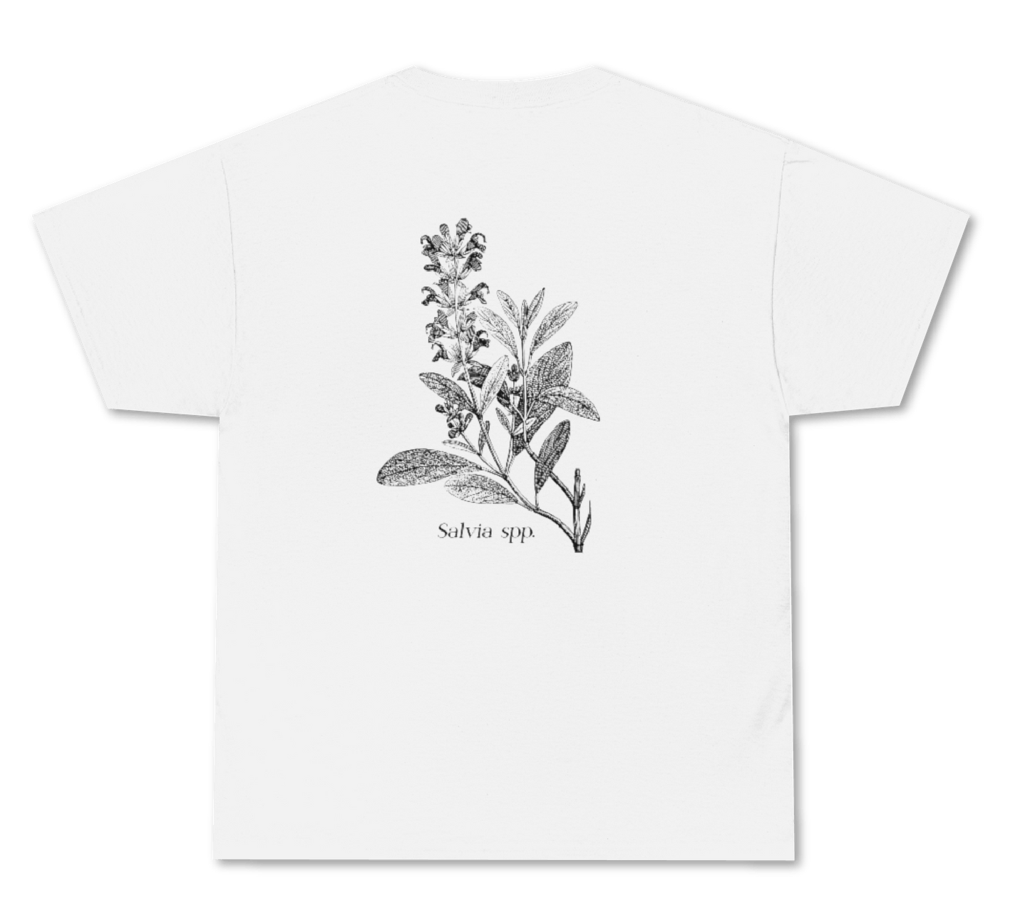 I'm Into Salvia - T-Shirt