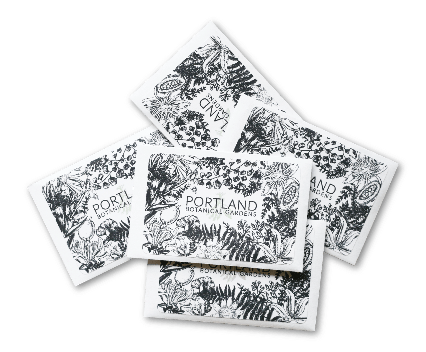 PNW Native Wildflower Seeds - 5 Packets